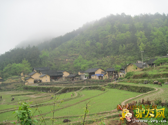 ��Ƭ 097ˮ��99.png