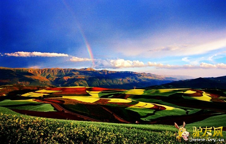 ����������ÿ����Ӱ�㶼����������ɫ������������ɫ�������Ա�ǿ�һ��Ӱ���������һ�Ķ����зǳ��õ�Ƭ�� ...